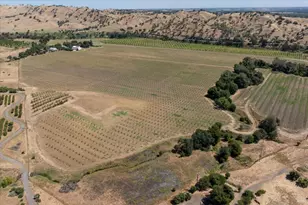 3442 Sackett Ln, Winters, CA 95694 - Photo 8