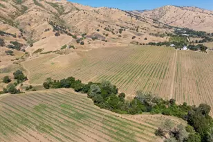 3442 Sackett Ln, Winters, CA 95694 - Photo 82