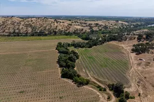 3442 Sackett Ln, Winters, CA 95694 - Photo 80