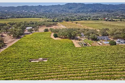 15881 Highway 12, Sonoma, CA 95476 - Photo 4