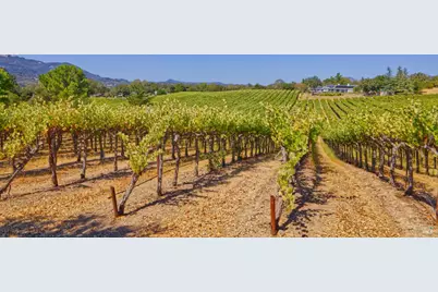 15881 Highway 12, Sonoma, CA 95476 - Photo 2