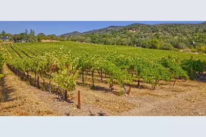 15881 Highway 12, Sonoma, CA 95476 - Photo 14