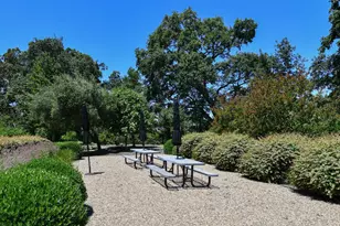 6600 Yount St, Yountville, CA 94599 - Photo 20