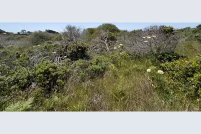 56 Sea Meadow Drive, The Sea Ranch, CA 95497 - Photo 20