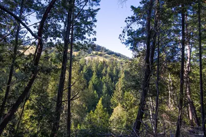 1235 Big Barn Road, Cazadero, CA 95421 - Photo 14