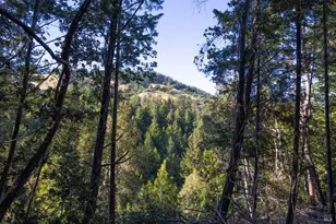 1235 Big Barn Rd, Cazadero, CA 95421 - Photo 14