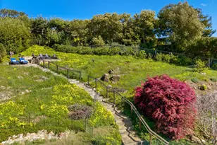 45 Mt Tiburon Rd, Tiburon, CA 94920 - Photo 40