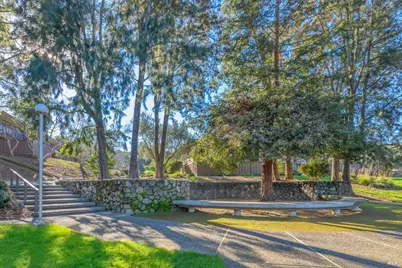 29 Forest Lane, San Rafael, CA 94903 - Photo 30