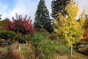 31501 Comptche Ukiah Rd, Comptche, CA 95427 - Photo 64