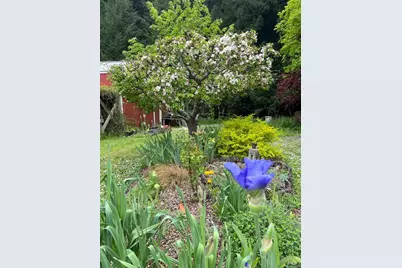 31501 Comptche Ukiah Road, Comptche, CA 95427 - Photo 66