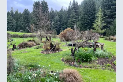 31501 Comptche Ukiah Road, Comptche, CA 95427 - Photo 62