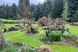 31501 Comptche Ukiah Rd, Comptche, CA 95427 - Photo 62