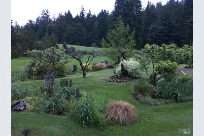 31501 Comptche Ukiah Road, Comptche, CA 95427 - Photo 68