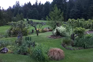 31501 Comptche Ukiah Rd, Comptche, CA 95427 - Photo 68