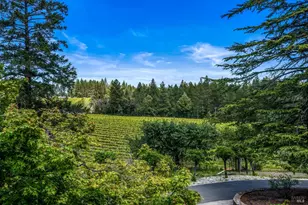 625 Hill Rd, Angwin, CA 94508 - Photo 6