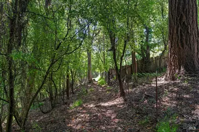 90 Laurel View Way, Inverness, CA 94937 - Photo 36