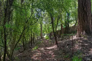 90 Laurel View Way, Inverness, CA 94937 - Photo 36