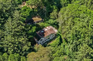 51 Monte Cimas Ave, Mill Valley, CA 94941 - Photo 4
