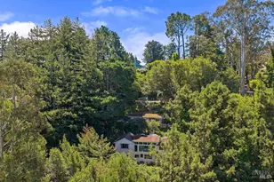 51 Monte Cimas Ave, Mill Valley, CA 94941 - Photo 6