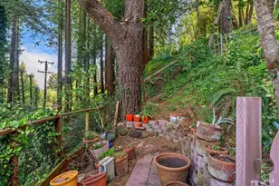 51 Monte Cimas Ave, Mill Valley, CA 94941 - Photo 2