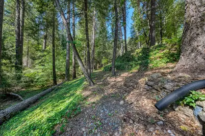 17301 Dogwood Way, Middletown, CA 95461 - Photo 68