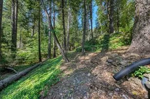 17301 Dogwood Way, Middletown, CA 95461 - Photo 68