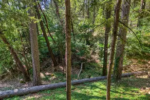 17301 Dogwood Way, Middletown, CA 95461 - Photo 56