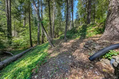 17301 Dogwood Way, Middletown, CA 95461 - Photo 66
