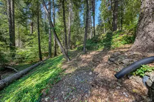 17301 Dogwood Way, Middletown, CA 95461 - Photo 66
