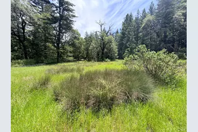 0 Registered Guest Road, Laytonville, CA 95454 - Photo 18