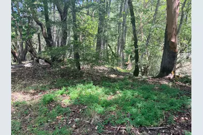 0 Registered Guest Road, Laytonville, CA 95454 - Photo 14