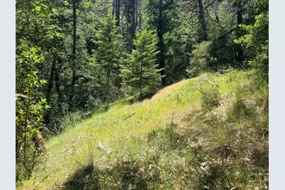 0 Registered Guest Road, Laytonville, CA 95454 - Photo 16