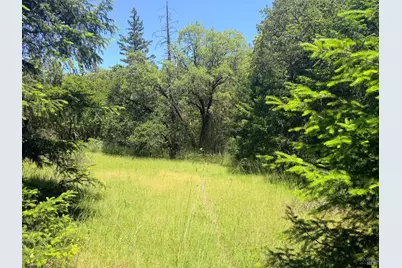 0 Registered Guest Road, Laytonville, CA 95454 - Photo 10