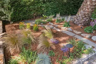 45 Grove Ln, San Anselmo, CA 94960 - Photo 96