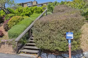 565 San Pedro Cove, San Rafael, CA 94901 - Photo 82