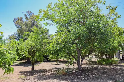 7948 N Meridian Road, Dixon, CA 95620 - Photo 38