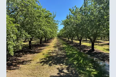 7948 N Meridian Road, Dixon, CA 95620 - Photo 4