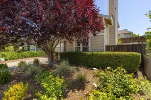 849 Signorelli Cir, Saint Helena, CA 94574 - Photo 4