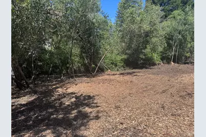 8822 Oak Grove Avenue, Sebastopol, CA 95472 - Photo 20