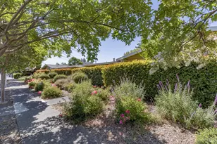 121 W MacArthur St, Sonoma, CA 95476 - Photo 2