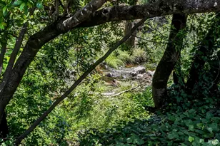 264 Los Alamos Rd, Santa Rosa, CA 95409 - Photo 18
