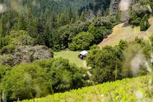 10500 Peachland Rd, Boonville, CA 95415 - Photo 8