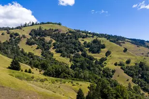 10500 Peachland Rd, Boonville, CA 95415 - Photo 34