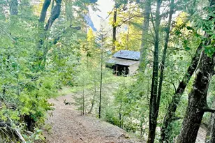 5000 Mohrhardt Ridge Rd, Cazadero, CA 95421 - Photo 64