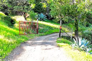 5000 Mohrhardt Ridge Rd, Cazadero, CA 95421 - Photo 68