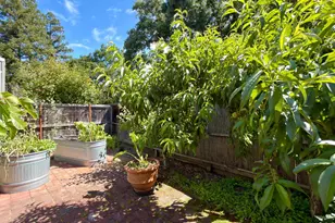 2770 Pike Dr, Napa, CA 94558 - Photo 38