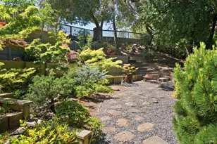 10 Shari Ct, Novato, CA 94947 - Photo 38
