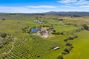 2315 Mountain Ranch Rd, Petaluma, CA 94954 - Photo 84