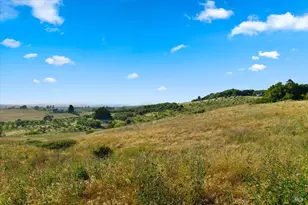 2315 Mountain Ranch Rd, Petaluma, CA 94954 - Photo 76