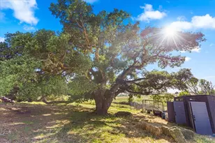 2315 Mountain Ranch Rd, Petaluma, CA 94954 - Photo 68